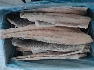 OMBRINA FILETTI BOCCADORO 500/1000 10KG - GLASS.0% GRECIA/TURCHIA
