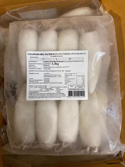 CALAMARI U10 PULITI THAILANDIA BLOCK 6X2KG(1,4KG) - GLASS.30% L.T.