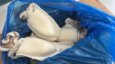 SEPPIA PULITE MAROCCO 1500/2000 KG12 - GLASS.0%