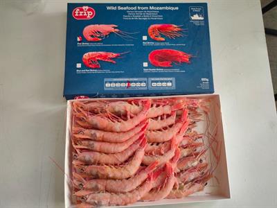 GAMBERO ROSA MOZAMBICO 41/50 TAGLIA M 800G BORDO 0%