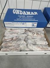 CALAMARI MAROCCO 3P IWP 5KG - GLASS.0%