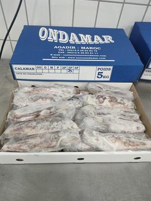 CALAMARI MAROCCO 3P IWP 5KG - GLASS.0%