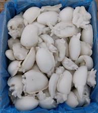 SALPESCA® SEPPIA PULITA IQF 8/12 INDIA 10KG(8KG)-GLASS.20%