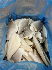 ORATA FILETTO 120/160 KG5(3,75)-GLASS.25% ALL.TURCHIA PBI