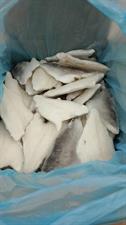 ORATA FILETTO 80-120G 5KG IQF - GLASS.25% OLANDA ALL.TURCHIA PBI