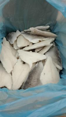 ORATA FILETTO 80-120G 5KG IQF - GLASS.25% OLANDA ALL.TURCHIA PBI