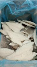 ORATA FILETTO 120-160G 5KG IQF - GLASS.25% OLANDA ALL.TURCHIA PBI