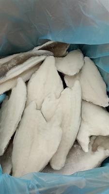 ORATA FILETTO 160-200G 5KG IQF - GLASS.25% OLANDA ALL.TURCHIA PBI