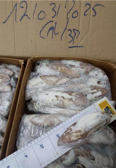 CALAMARI MAROCCO 3P IWP 5KG - GLASS.0% BORDO