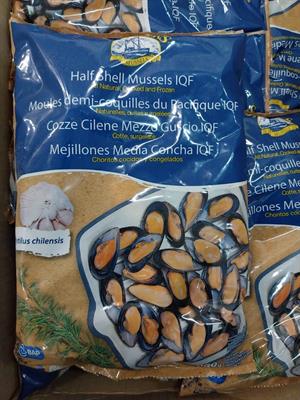COZZE MEZZO GUSCIO 60/80 1KG(900G)X10PZ CILE - GLASS.10%