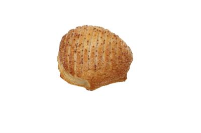 CONCHIGLIA MAXI CIOCC.NOCCIOLA 110GX50PZ