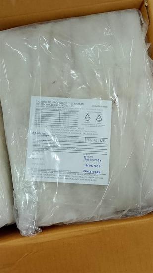 CALAMARI U5 PULITI BLOCK SEAHORSE 6X2KG(1,4KG) - GLASS.30% THAILANDIA