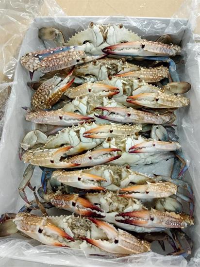 GRANCHIO INTERO CRUDO 100/150G 1KGX6 - TUNISIA 0%