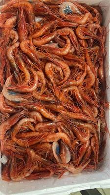 GAMBERO ROSSO DELLO IONIO N.3 KG__ - GLASS. 0% ITALIA