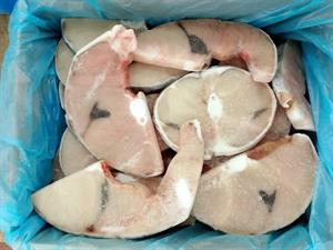 TRANCE DI SMERIGLIO 8KG(6,4KG) - GLASS.20%