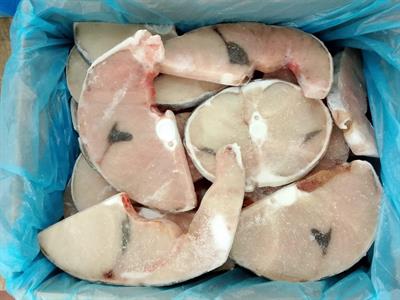 TRANCE DI SMERIGLIO 8KG(6,4KG) - GLASS.20%