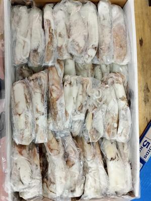 CALAMARI MAROCCO 4P IWP 5KG - GLASS.0% ONDAMAR