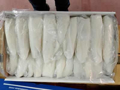 CALAMARI PULITI MAROCCO 2P IWP 5KG - GLASS.0% ONDAMAR