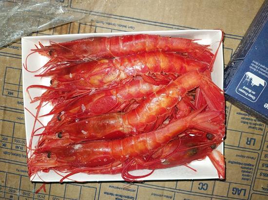 GAMBERO ROSSO CARABINEROS 21/30 TAGLIA XL 400GX24PZ - GLASS.0%