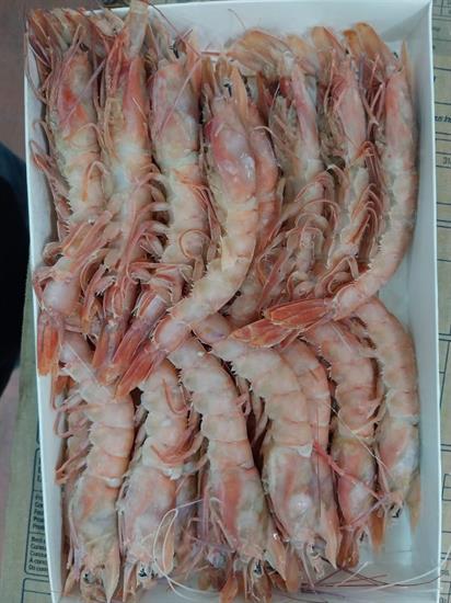 GAMBERO ROSA MOZAMBICO 31/40 TAGLIA L 800GX12PZ BORDO 0%