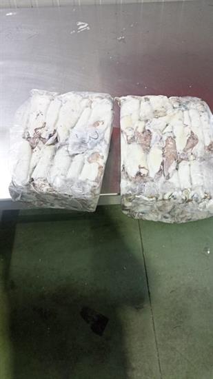 CALAMARI MAROCCO BORDO 4P(MIX) KG__ - GLASS.0%