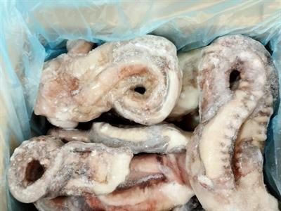 TOTANO GIGANTE TENTACOLO INTERO 1000/2000 8KG(6,4)-GLASS.20%