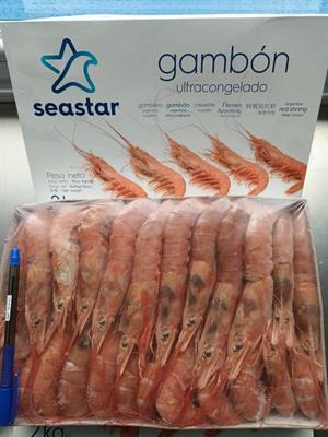GAMBERI ARGENTINI L2 20/30 2KGX6PZ SEASTAR