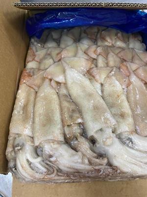 TOTANI ATLANTICI L BLOCCO 2X5KG - MAROCCO