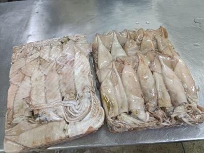 TOTANI ATLANTICI M BLOCCO 2X5KG - MAROCCO
