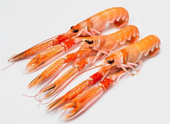SCAMPI INTERI POLY N.0 8/10 4X1,5KG(1,25KG) SCOZIA GLASS.15%