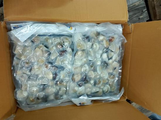 VONGOLE DEL PACIFICO 50/90 C/GUSCIO KG1X10