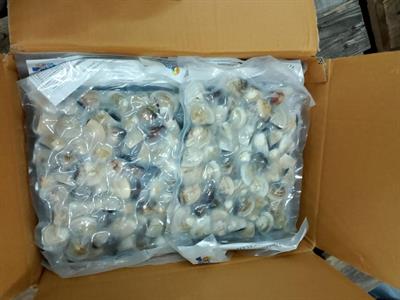 VONGOLE DEL PACIFICO 50/90 C/GUSCIO KG1X10