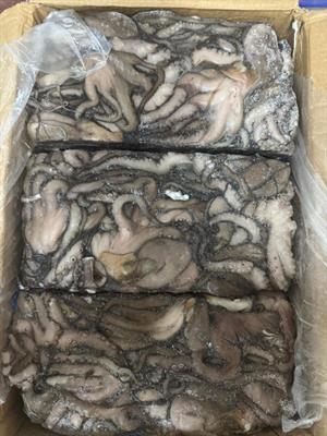 POLPO SENEGAL PR T10(-200) BLOCCO 20KG - GLASS.0%
