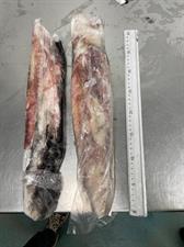 CALAMARI MAROCCO G IWP 10KG - GLASS.0%