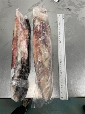 CALAMARI MAROCCO G IWP 10KG - GLASS.0%