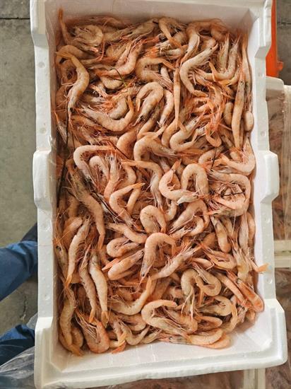 *D* GAMBERO ROSA DELLO IONIO N.3 (130+PZ/KG) KG__ - GLASS. 0% ITALIA