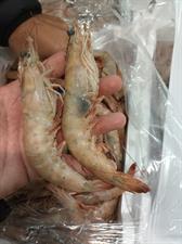 MAZZANCOLLA DELLO IONIO KG3 - GLASS. 0% ITALIA