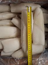 CALAMARI PULITI MAROCCO 2P IQF 6KG - GLASS.0% SO.CO.PO