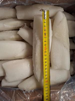 CALAMARI PULITI MAROCCO 2P IQF 6KG - GLASS.0% SO.CO.PO