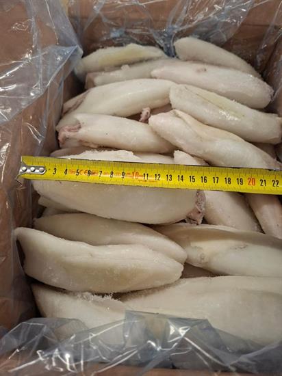 CALAMARI PULITI MAROCCO 3P IQF 6KG - GLASS.0% SO.CO.PO