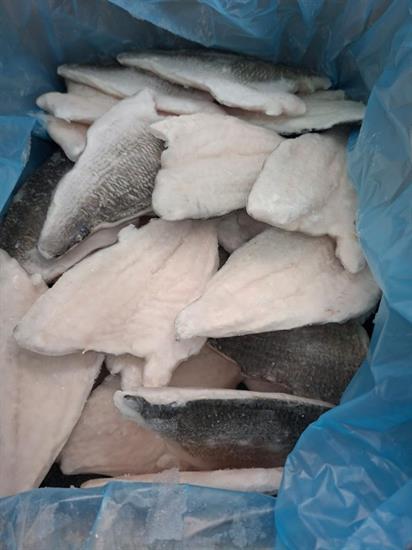 BRANZINO FILETTO 160-200 5KG IQF - GLASS.25% OLANDA ALL.TURCHIA PBI