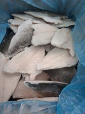 BRANZINO FILETTO 160-200 5KG IQF - GLASS.25% OLANDA ALL.TURCHIA PBI