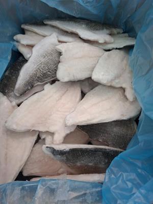 BRANZINO FILETTO 160-200 5KG IQF - GLASS.25% OLANDA ALL.TURCHIA PBI