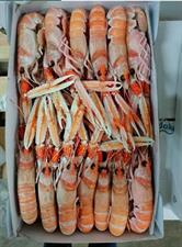 SCAMPI PORCUPINE 10-15 9KG(3X3) IRLANDA GLASS.0%