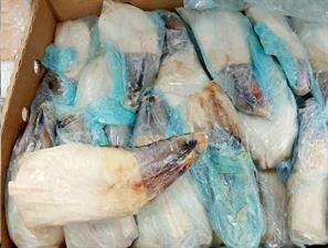 CODA DI RANA PESCATRICE SUDAFRICA MIX IWP BORDO KG__ - GLASS.0%