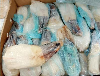 CODA DI RANA PESCATRICE SUDAFRICA MIX IWP BORDO KG__ - GLASS.0%