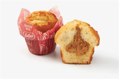 TULIPANO LOTUS BISCOFF 110GX24PZ