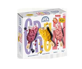 6 STECCO GRUVI MINI MIRTILLO/MANGO/FRAGOLA 240GX6PZ SAMMONTANA