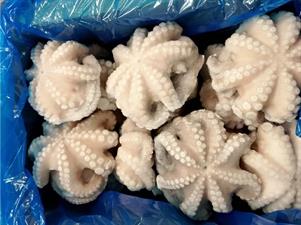 POLPO MAROCCO T7 (500-800) IQF 12KG P.N. - OUFA