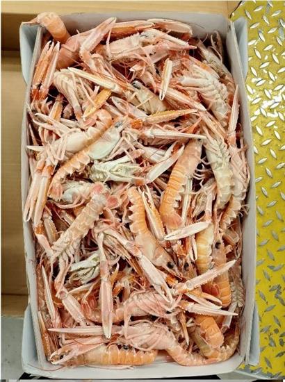 SCAMPI LABADIE 30-40 9KG(3KGX3KG) IRLANDA GLASS.0%
